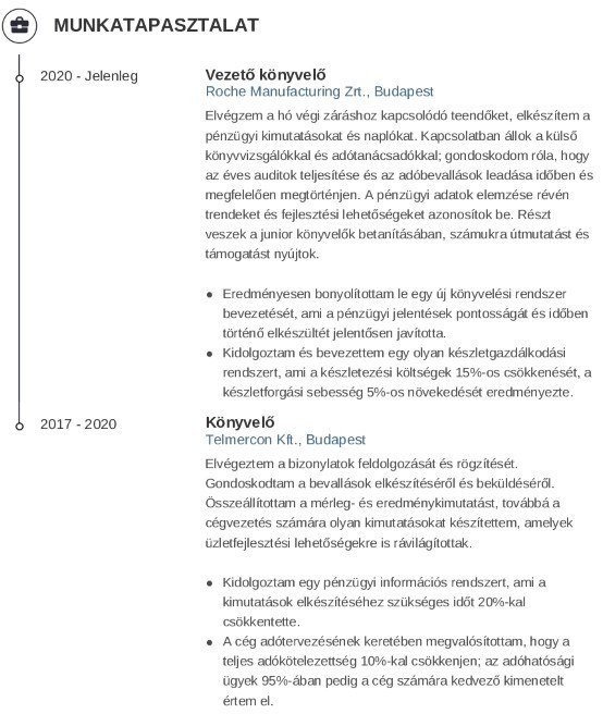 munkatapasztalataidat könyvelő önéletrajzhoz
