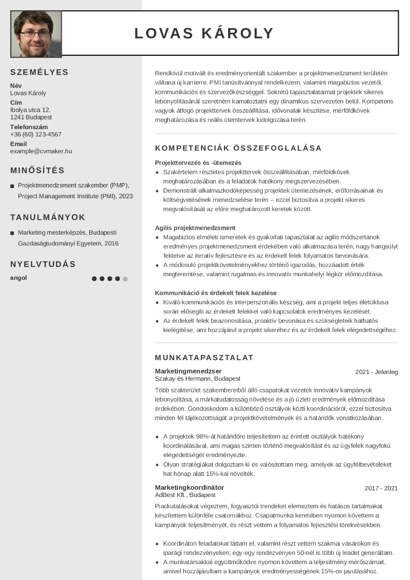 Önéletrajzminta karrierváltáshoz Önéletrajzminta karrierváltáshoz