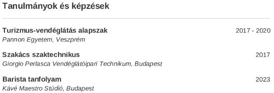tanulmányaidat a vendéglátós önéletrajza