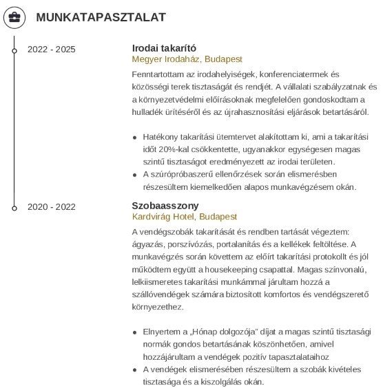 munkatapasztalatokat eladói önéletrajzban
