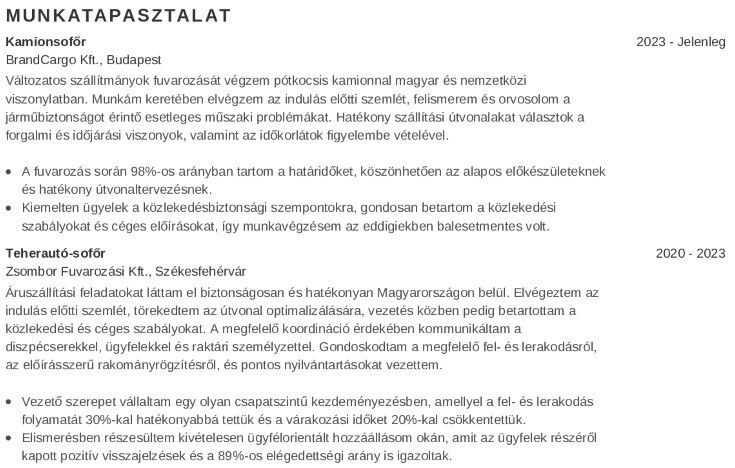 munkatapasztalataidat sofőr