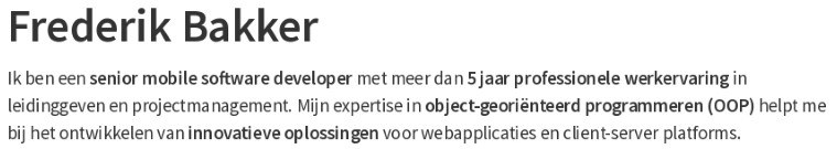 Személyes profil a holland önéletrajzban