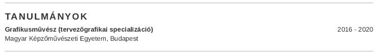 tanulmányokat grafikus önéletrajzhoz