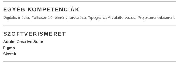 készségeket grafikus önéletrajzhoz