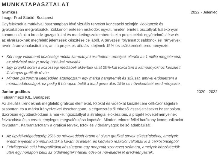 munkatapasztalataidat grafikus önéletrajzhoz