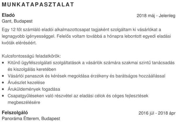 munkatapasztalataidról eladói önéletrajzban