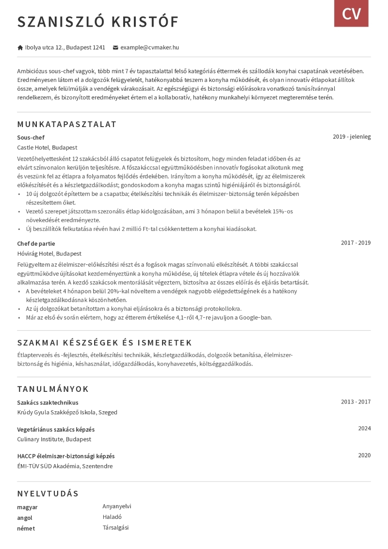 egyszerű cv példa