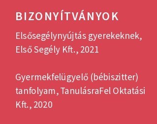 pedagógiai asszisztensi önéletrajz minta bizonyítványok