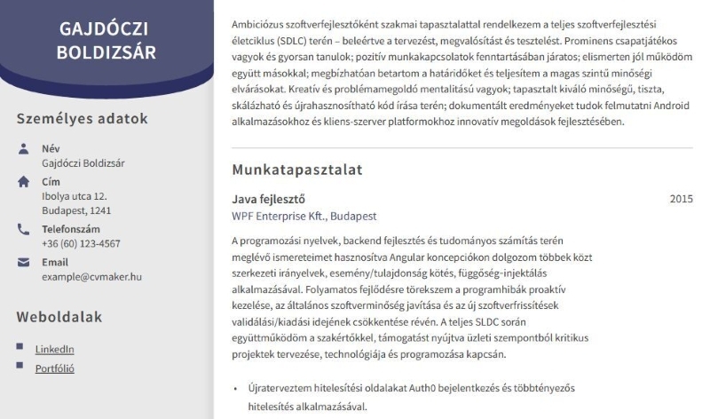 LinkedIn megjelenítése az önéletrajzban 1