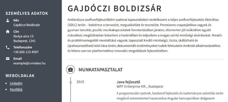 LinkedIn megjelenítése az önéletrajzban 2