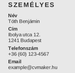 személyes adatok példa 1